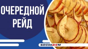 На пляжах курорта проверили уличных продавцов