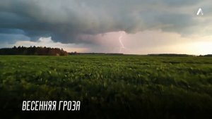 Весенняя гроза
