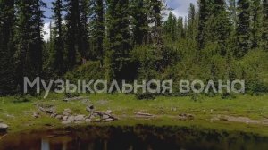 Звуки природы России, Звуки Леса, для расслабления и релаксации, для  сна, Медитации, Отдыха