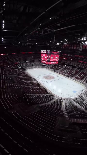 Calm Before the Stanley Cup Storm?