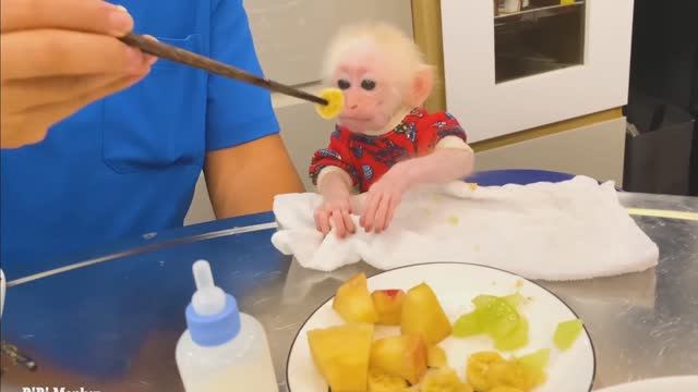 Обезьянка крошка БУКАШКА учит папу готовить Едят за столом Папа кормит овощами Зап ила молоком из со