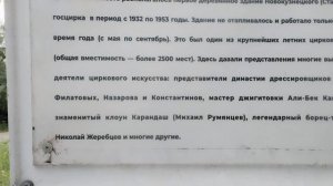 Съездила за саженцами.