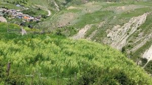 Развалины Бельгийского завода 18.06.25.