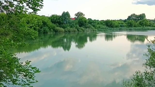 18.06.2025г.2 ЧАСТЬ./ ОБРЕЗАЛА ИВУ// НАВЕЛИ ПОРЯДОК/
ОБЫЧНАЯ СЕЛЬСКАЯ ЖИЗНЬ🏡
