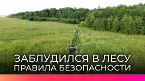 Восемь заблудившихся с начала года: МЧС напоминает новгородцам о правилах безопасности в лесу