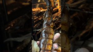 Царский деликатес: Сочная стерлядь на ольхе с виноградом.