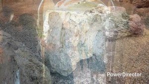 КОМАНДИР И РЯДОВОЙ.