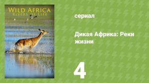 Дикая Африка: Реки жизни 4 серия «Окаванго» (документальный сериал, 2018)