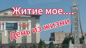 Житие мое... Один день из жизни. Чуть не попали в аварию. М-н Светофор
