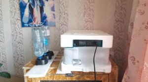 Решилась на повторную инкубацию.#сельскаяжизнь #инкубация