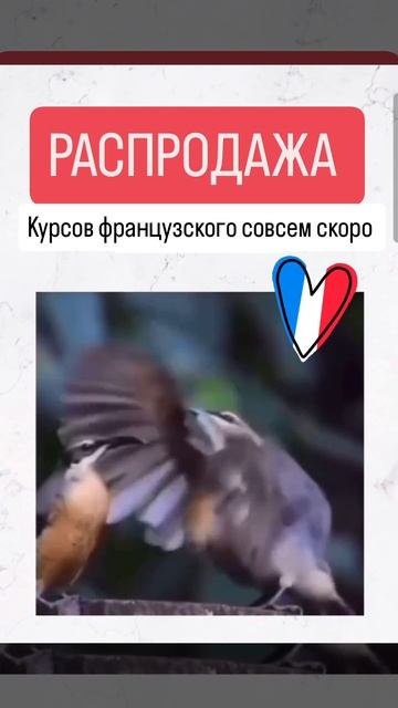 🔥 Завтра — день, когда французский станет ближе (и выгоднее!)