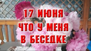 17 июня. Идут дожди, а я навожу порядок в своей беседке