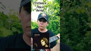 СТУПИН К. - Лёд и Ветер(БУНКЕРCover)