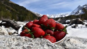 Эльбрус, часть I. Ледник Башкара, Джилы Су.
