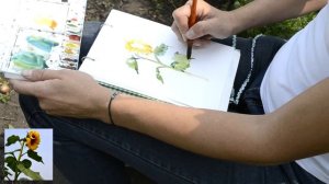 Как делать пятиминутные зарисовки с натуры акварелью. Скетч Подсолнух.