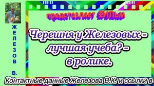 Черешня у Железовых - лучшая учеба? - в ролике