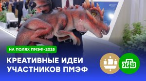 Родина драконов и песочница для будущих строителей: самые креативные стенды ПМЭФ-2025