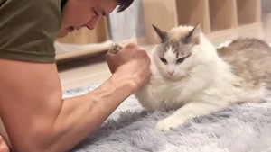 Топ приколов, которые сделают твой день!  #юмор #ржач