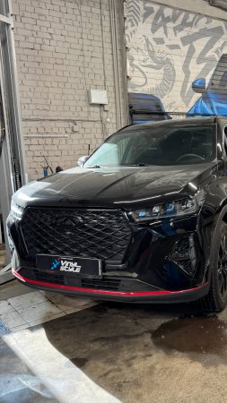 Chery Tiggo - мойка радиаторов автомобиля и ремонт вмятины без покраски на двери