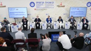 Развитие национальных онлайн-платформ обсудили на полях ПМЭФ