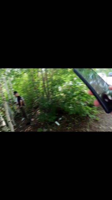 В кустах г.Чебоксары || Залив, бульвар купца ефремова, чувашский драмтеатр, мать покровительница