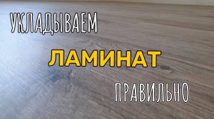 Как класть ламинат своими руками — пошаговая инструкция для начинающих | Укладка ламината