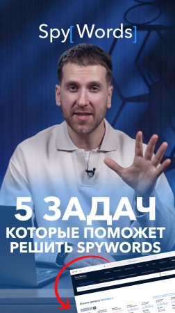 5 задач которые поможет решить SpyWords