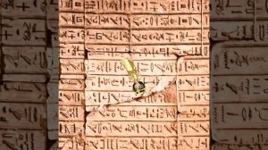 трендик посмотри описание пжжж