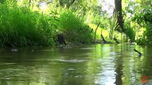 Ефрем Сирин О терпении и сокрушении слово поучительное часть 2