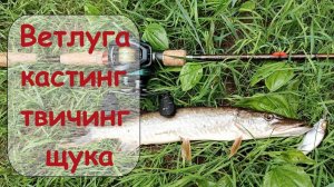 Ветлуга кастинг твичинг щука