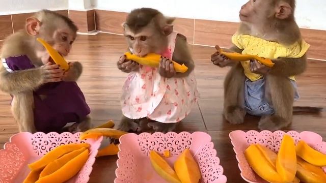 Обезьянки фрукты едят ВЕСЕЛЯТ КОГО ХОЧЕШЬ РАССМЕШАТ