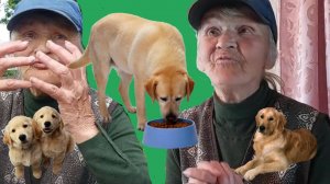 ПИТОМНИК НА ДОМУ  " ПРОЖОРЛИВОЕ РЫЛЬЦЕ "