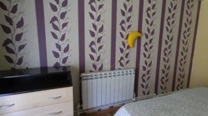 Калинина Таманская 8ч 3к номер