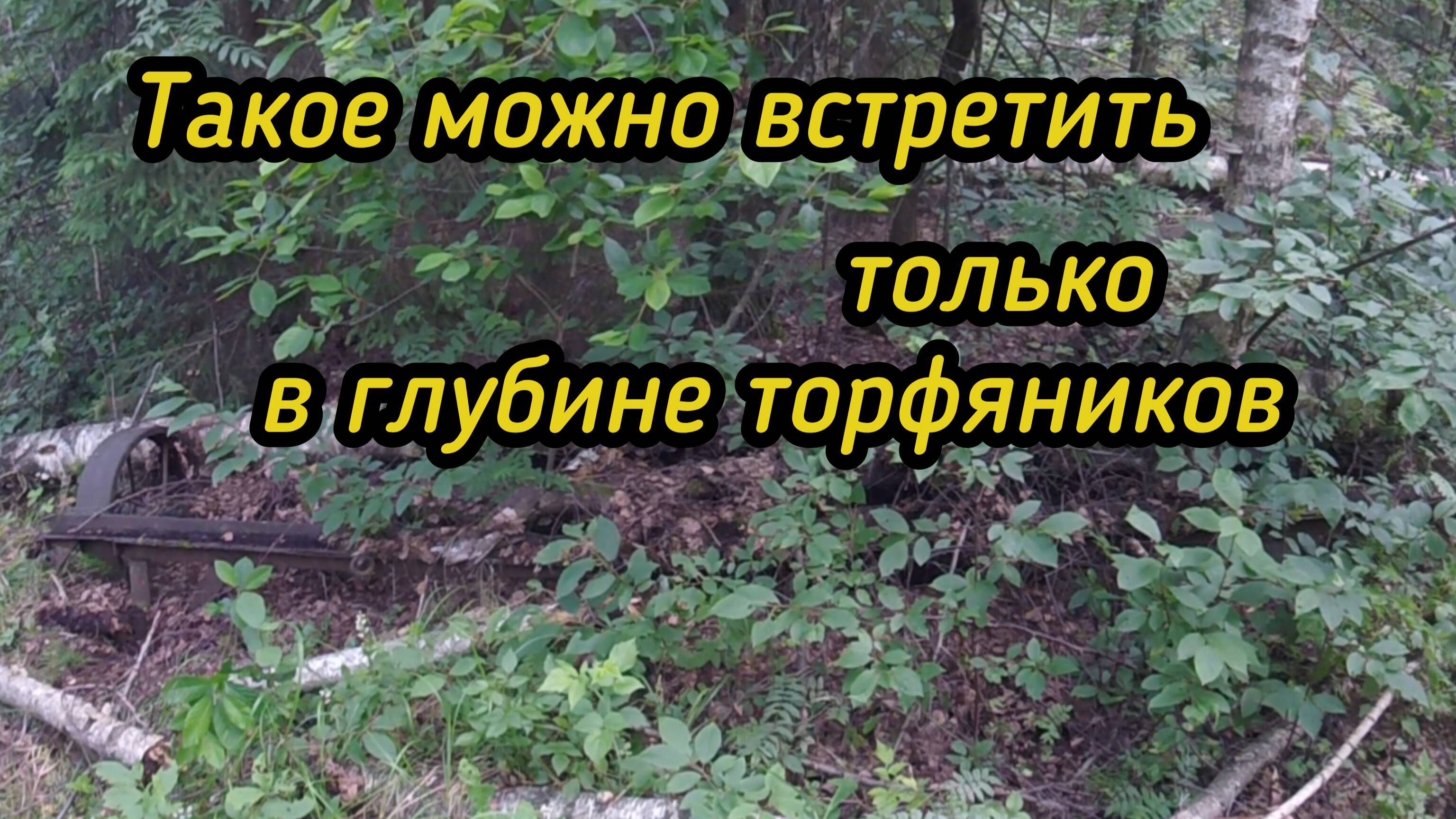 Металл есть,цены нет..Такая реальность!