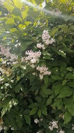 Хочешь похудеть? Не знаешь как? Смотри
