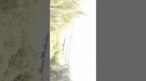 маленький утренний влооооооог