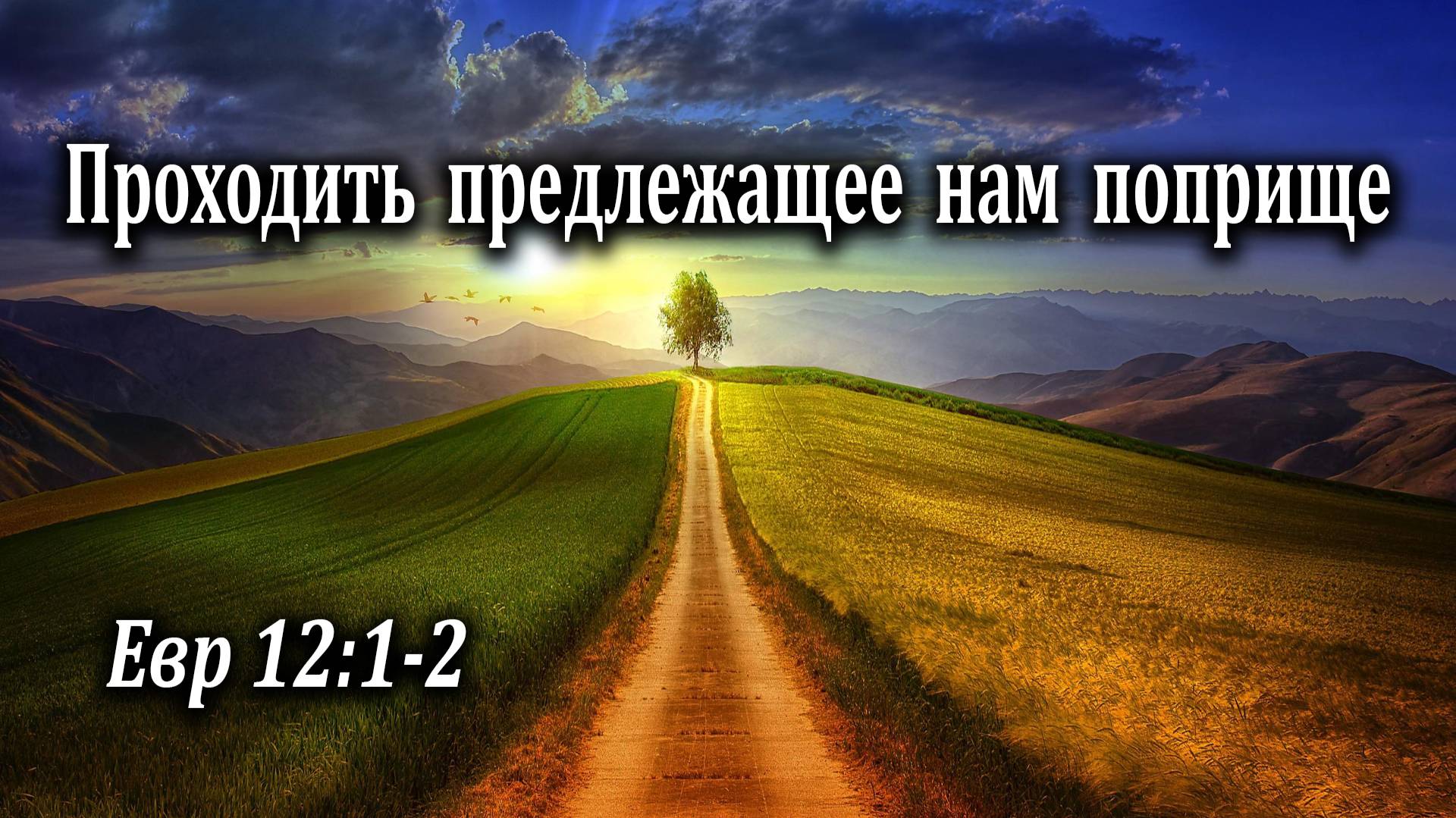 15.08.2021 "Проходить предлежащее нам поприще" Евр 12:1-2 Епишин Авель