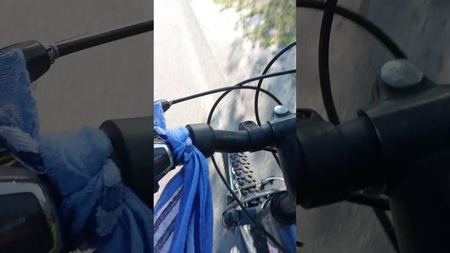 поездка в другую деревню,стант,паломки