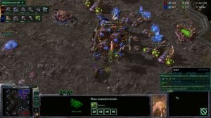 SC2 ЗвТ Микозы