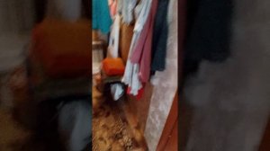 квартира.mp4