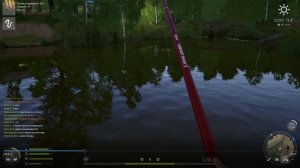 Карась золотой на 1кг.123гр.