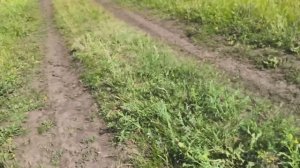Вторая пробежка после операции