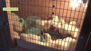 День в событиях от 17.06.2025