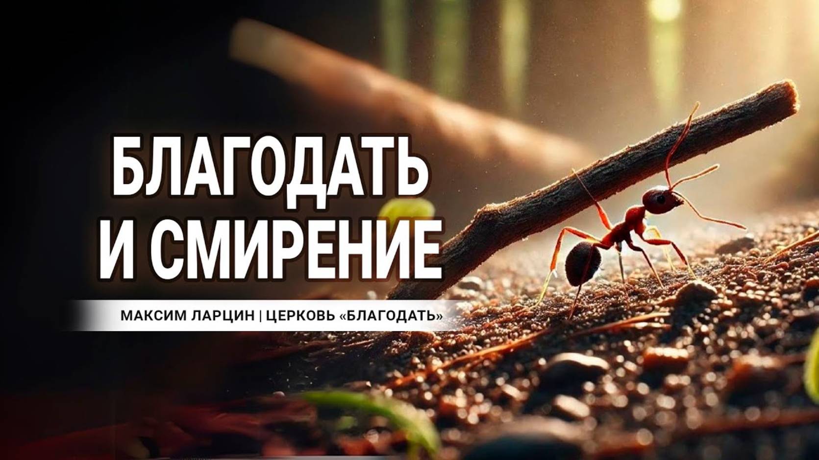 Благодать и смирение - Максим Ларцин 16.02.25 проповедь
