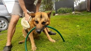 #любим_купаться