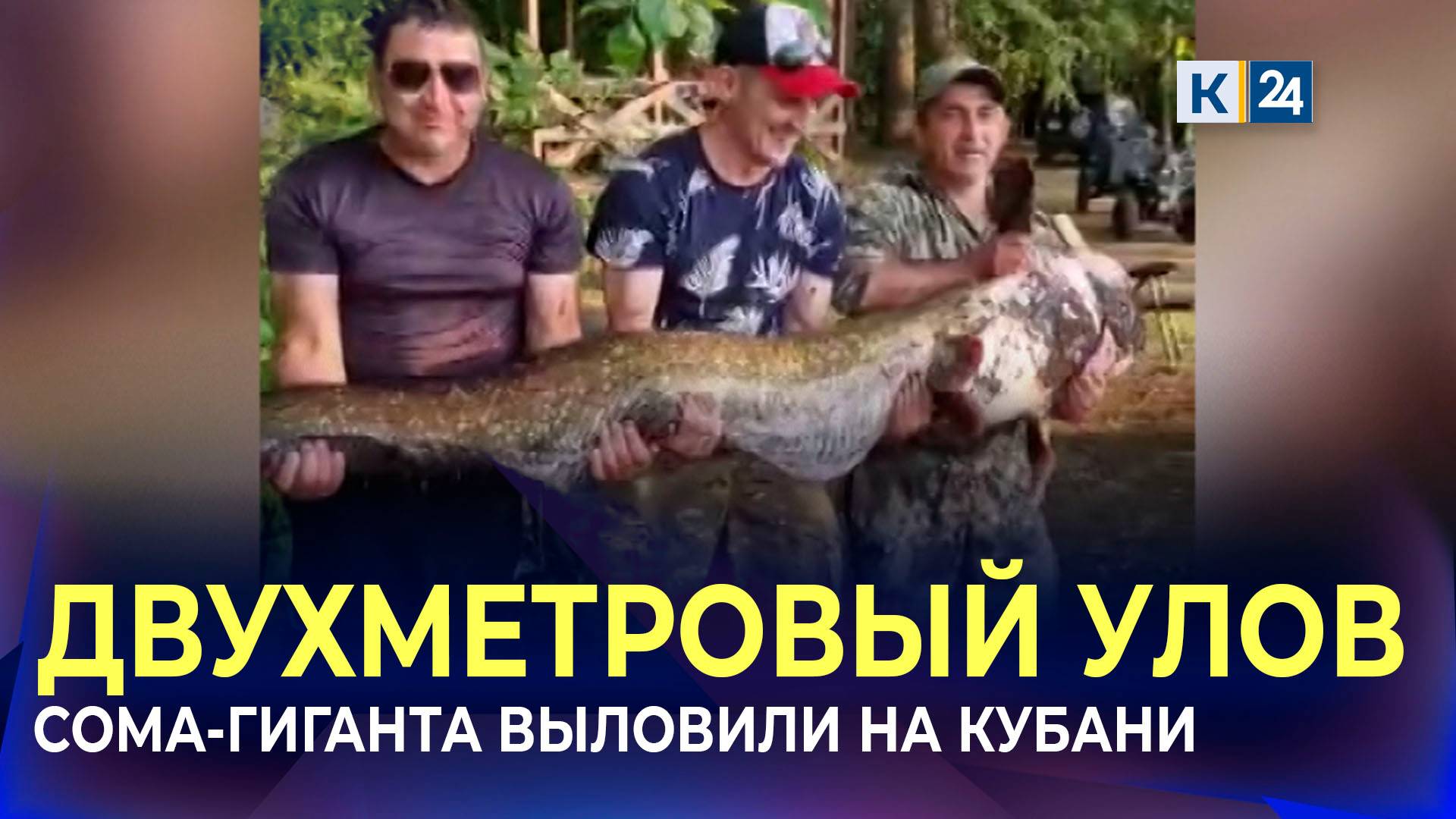Двухметрового сома весом со среднюю женщину поймали рыбаки в Динском районе