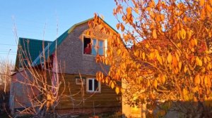 Раменская палитра. Пленэр №5, осень 2024