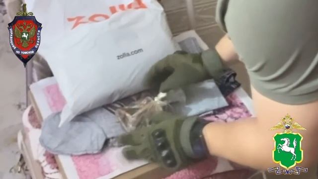 В Томской области бизнесмен и лесничий уличены полицией в незаконной рубке леса на 62 млн рублей