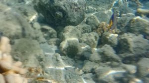 Дайвинг мини Плота.