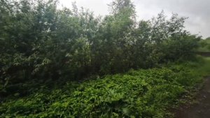 Акт осмотра ЗУ :2697 июнь 2025